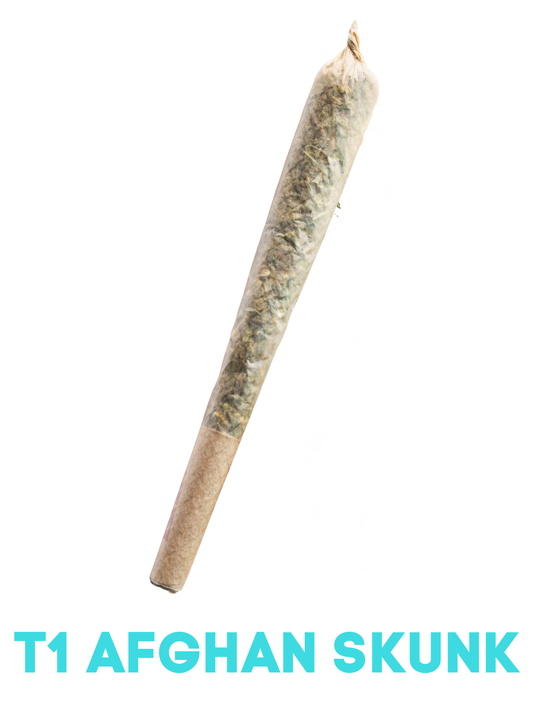 T1 AFGHAN SKUNK Preroll de cañamo CBD – JUMBO